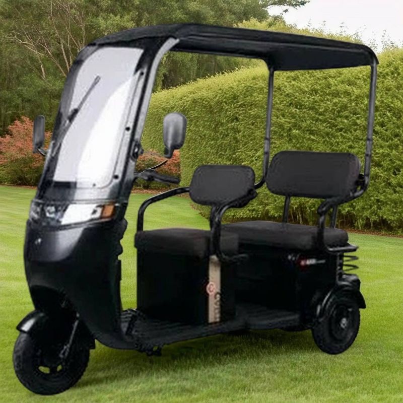 Электротрицикл Gelbert Bos 48V/60V 800Вт Электротрицикл Gelbert Bos 48V/60V 800Вт